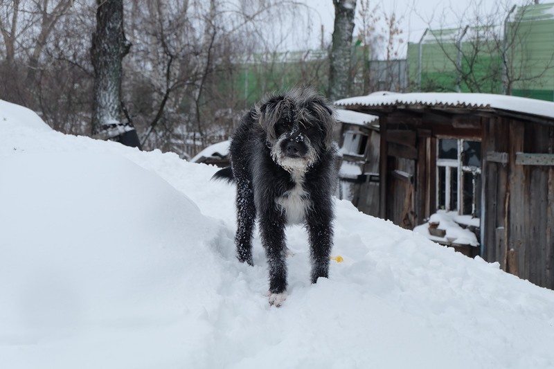 Фото сделанное пользователем Роман55