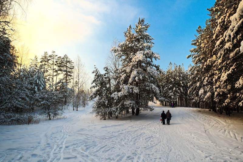 Фото сделанное пользователем Skier