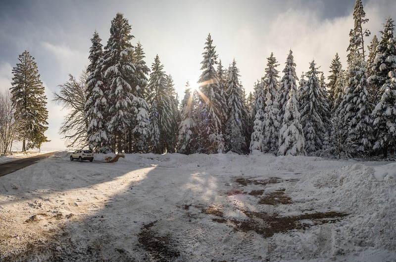 Фото сделанное пользователем ValeriusPhotography