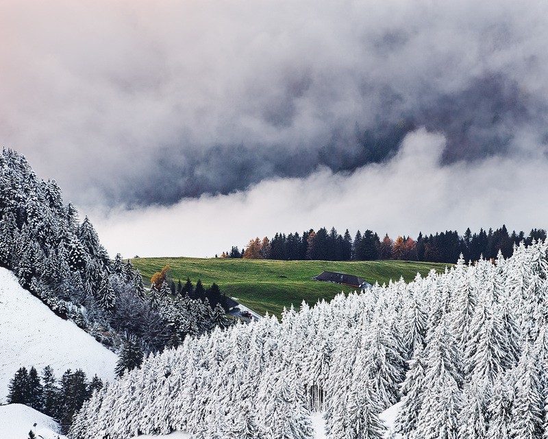 Фото сделанное пользователем West