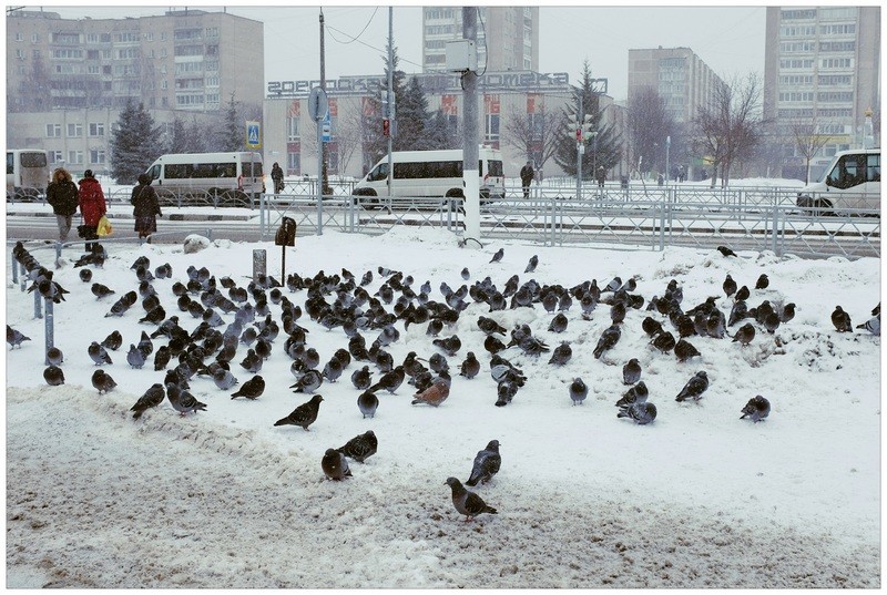 Фото сделанное пользователем igorcentr