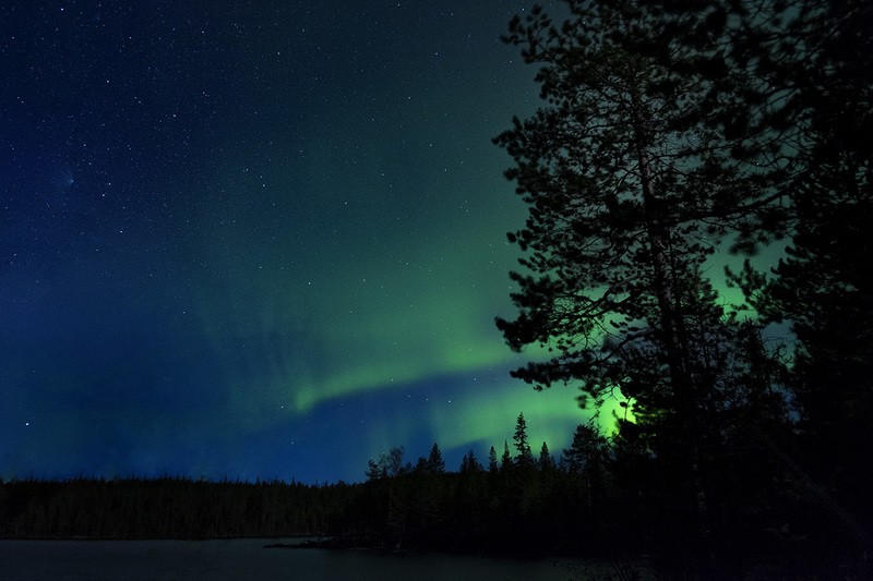 Фото сделанное пользователем IBEAR