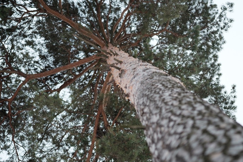 Фото сделанное пользователем Stepan