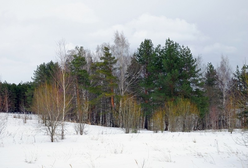 Фото сделанное пользователем Paavo