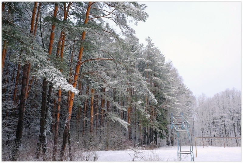 Фото сделанное пользователем igorcentr