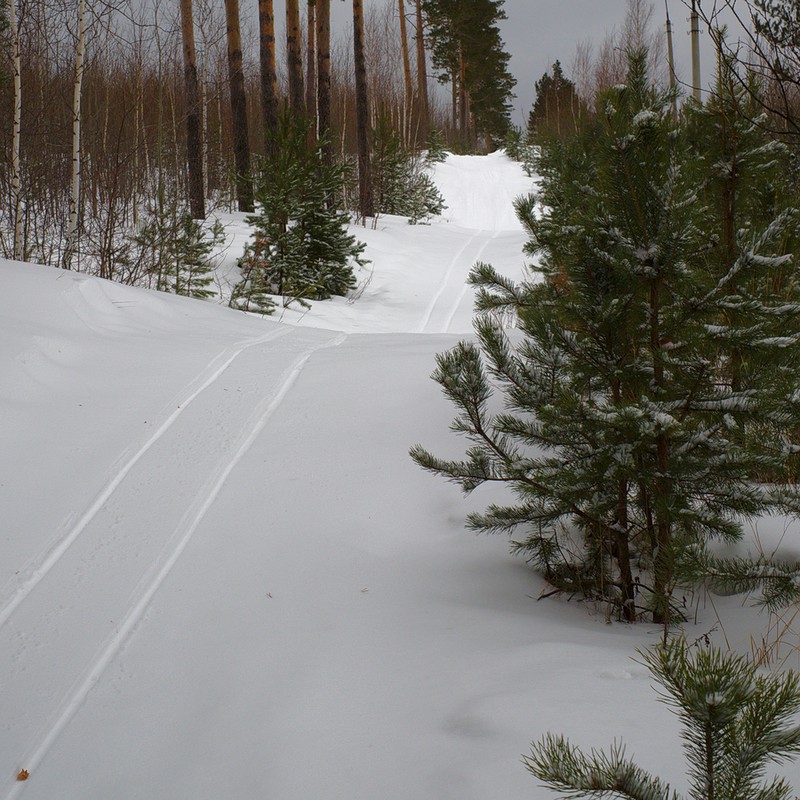 Фото сделанное пользователем Skier