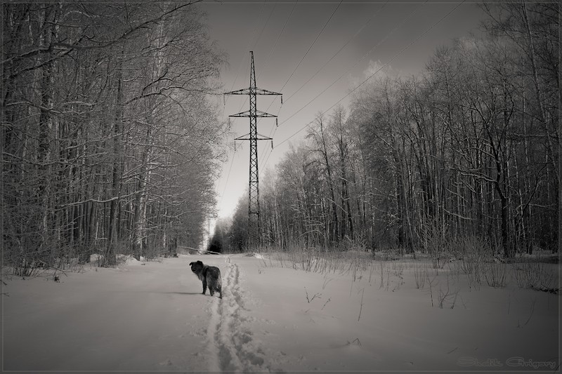 Фото сделанное пользователем rus-lis
