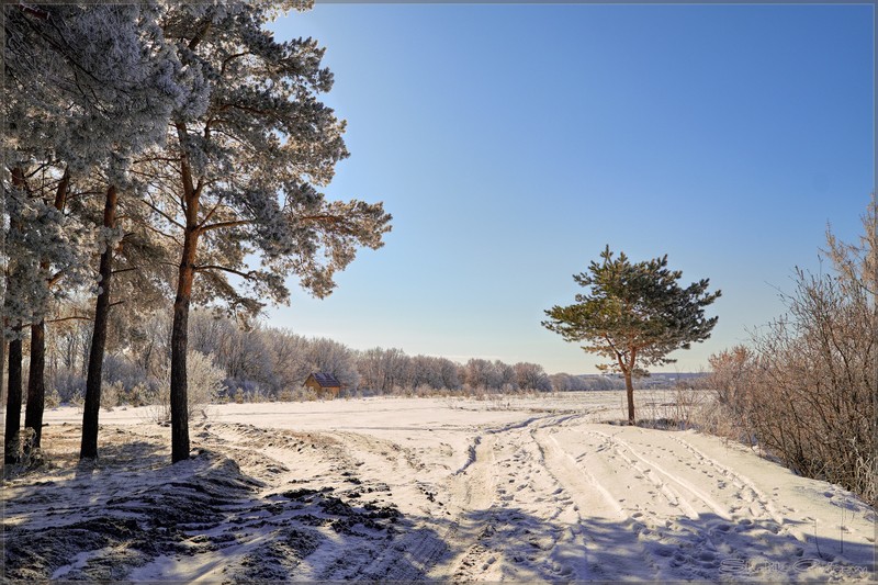 Фото сделанное пользователем rus-lis