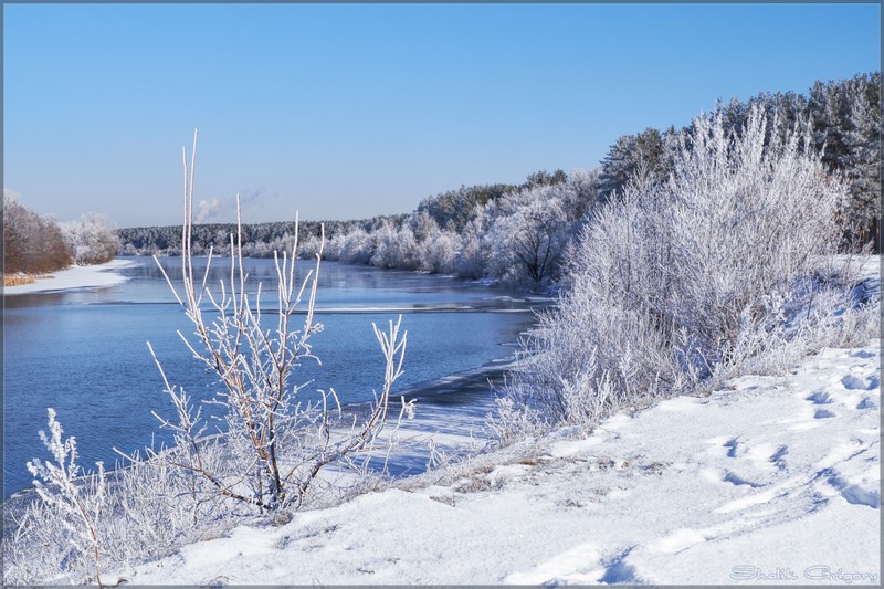 Фото сделанное пользователем rus-lis