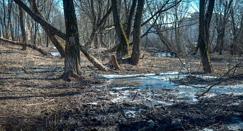 Фото сделанное пользователем Сергей Миронов