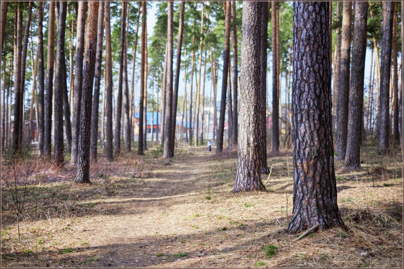 Фото сделанное пользователем rus-lis