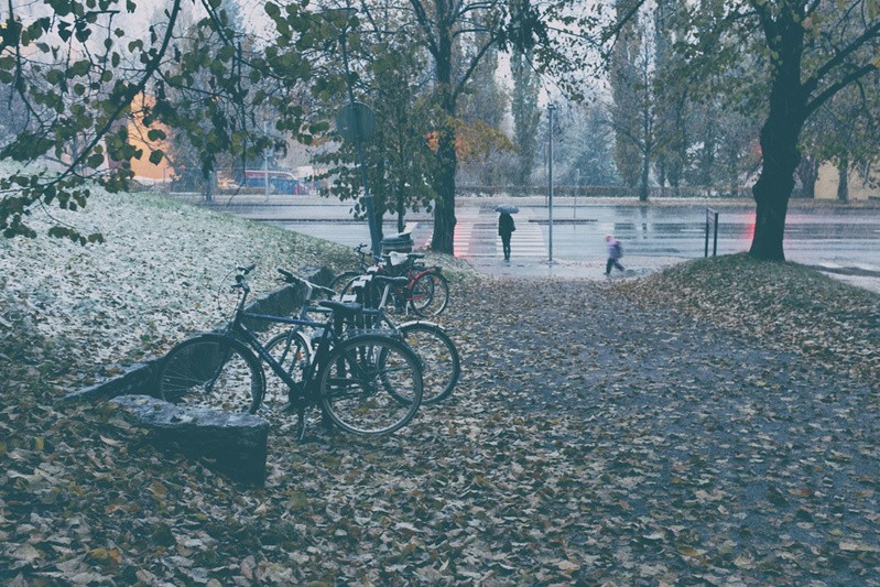 Фото сделанное пользователем Серёжа