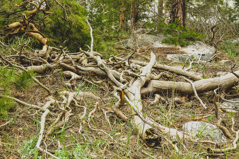 Фото сделанное пользователем Александр 077