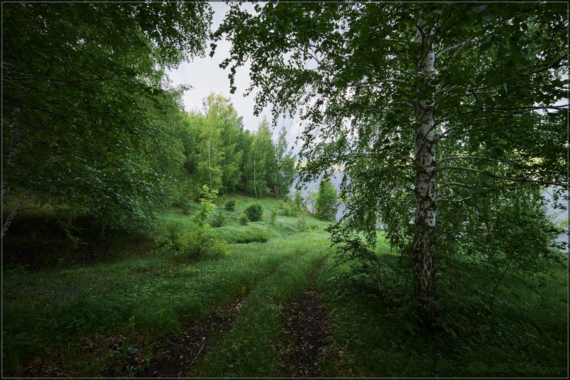 Фото сделанное пользователем rus-lis