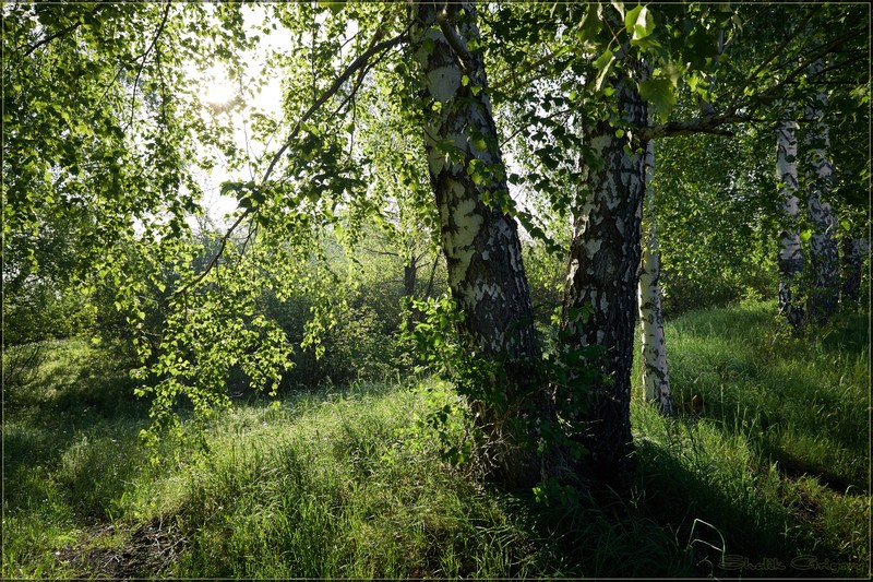 Фото сделанное пользователем rus-lis