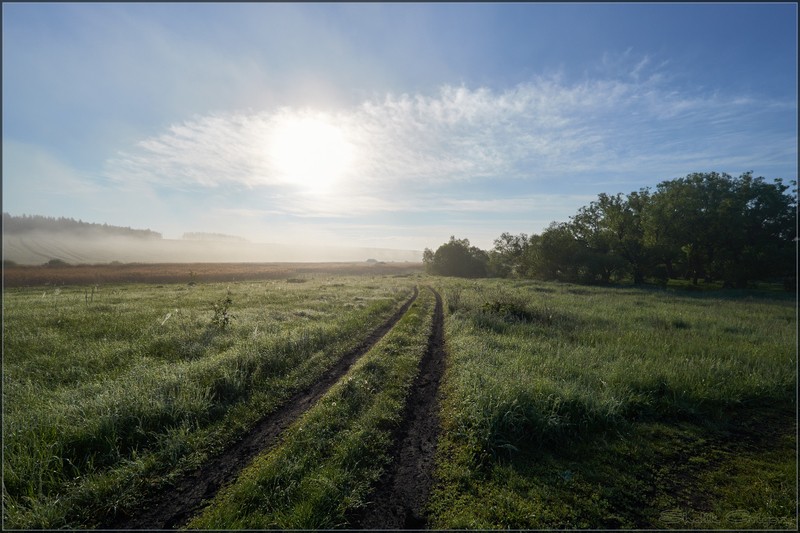 Фото сделанное пользователем rus-lis