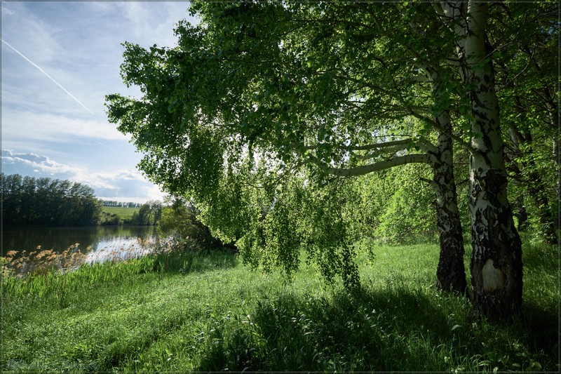 Фото сделанное пользователем rus-lis