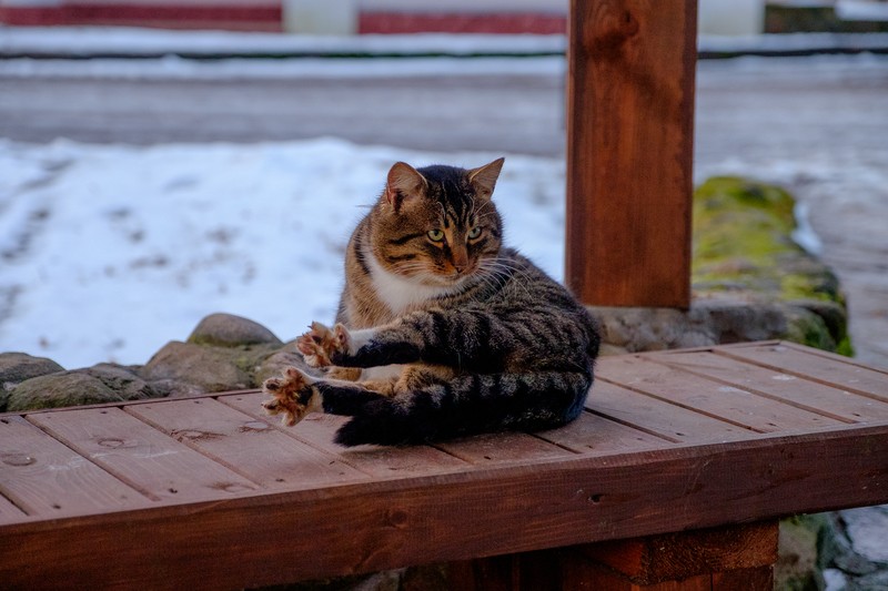 Фото сделанное пользователем SophCat