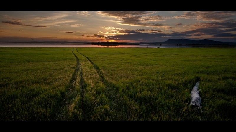 Фото сделанное пользователем blacker