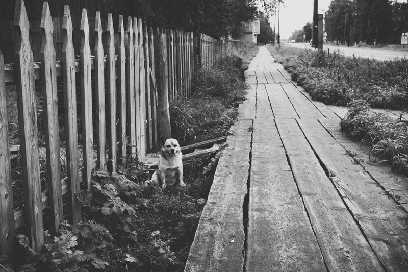 Фото сделанное пользователем Серёжа