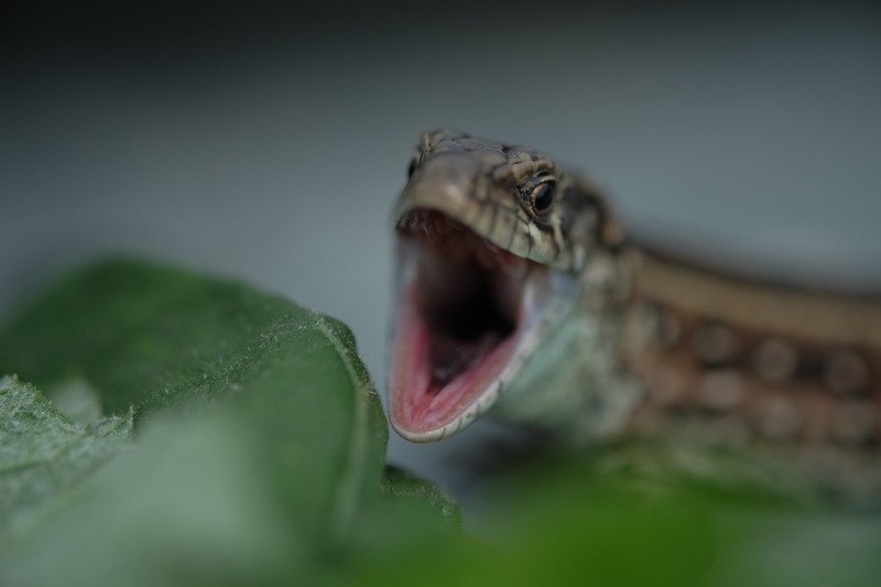 Фото сделанное пользователем Vlad_DDDD