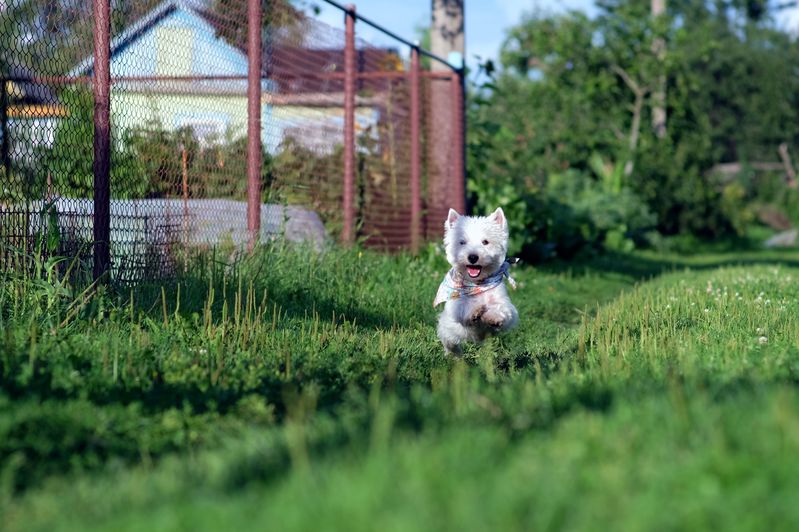 Фото сделанное пользователем Alexandr Kirienko