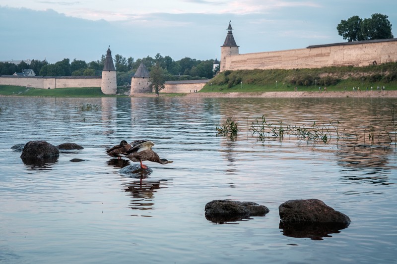 Фото сделанное пользователем SophCat