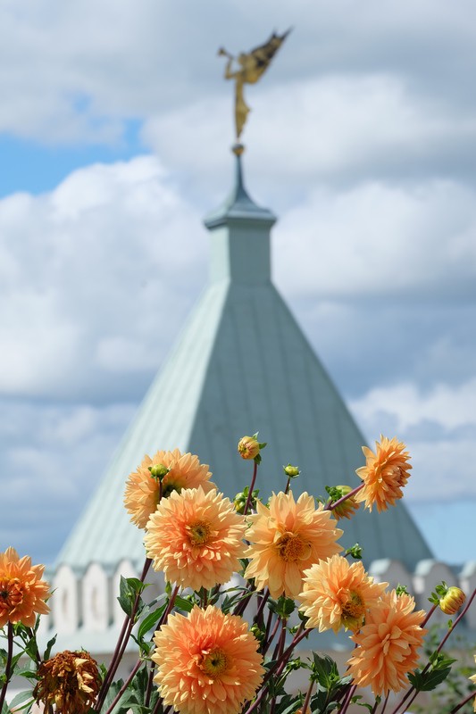 Фото сделанное пользователем Роман55