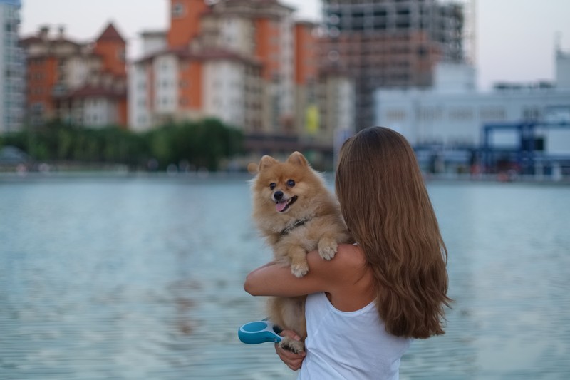 Фото сделанное пользователем Tim_G