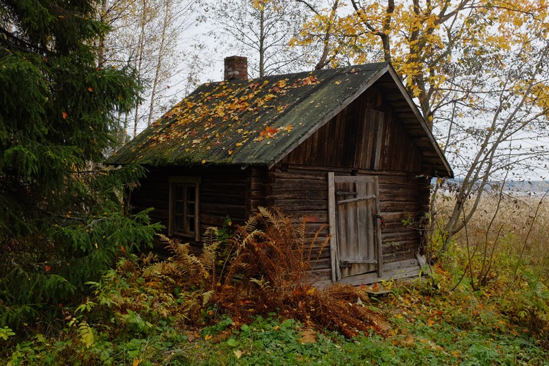 Фото сделанное пользователем Серёжа