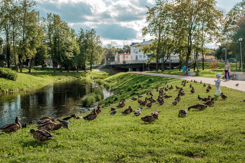 Фото сделанное пользователем Barclay