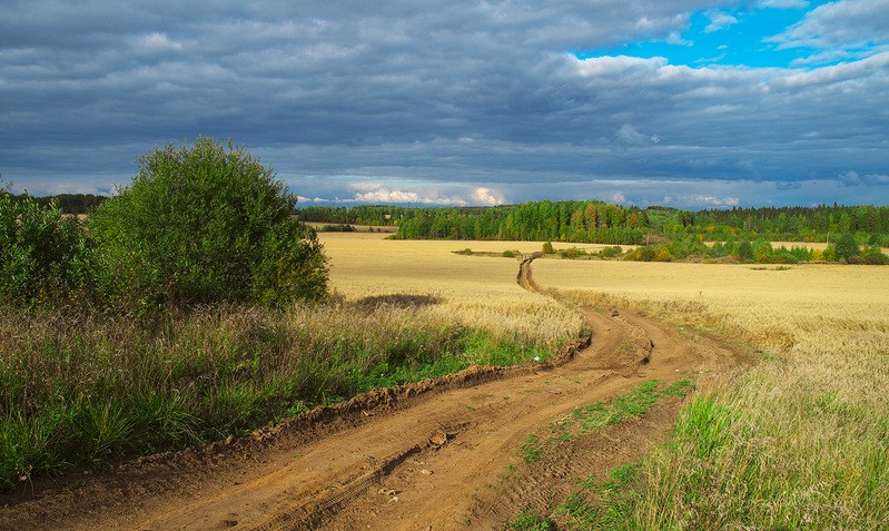 Фото сделанное пользователем Alex_new