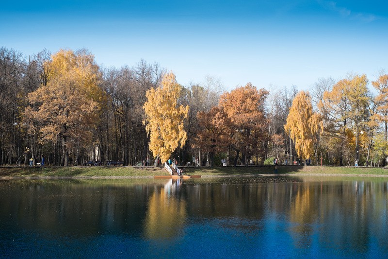 Фото сделанное пользователем zaric001