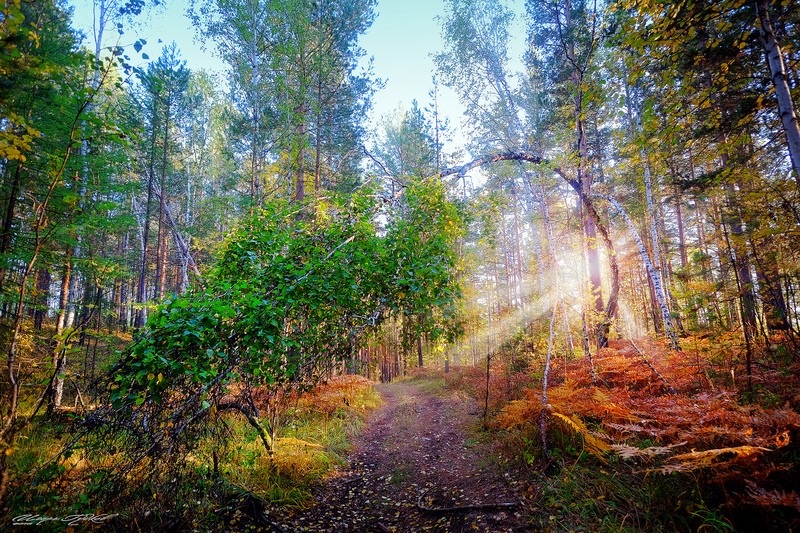 Фото сделанное пользователем zurbagan