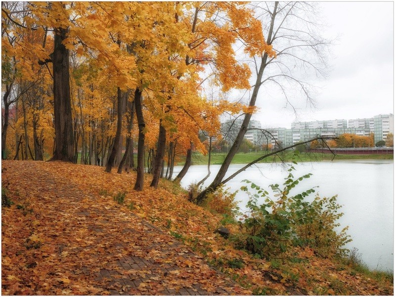 Фото сделанное пользователем igorcentr