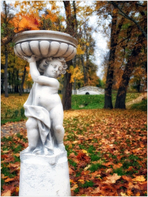 Фото сделанное пользователем igorcentr