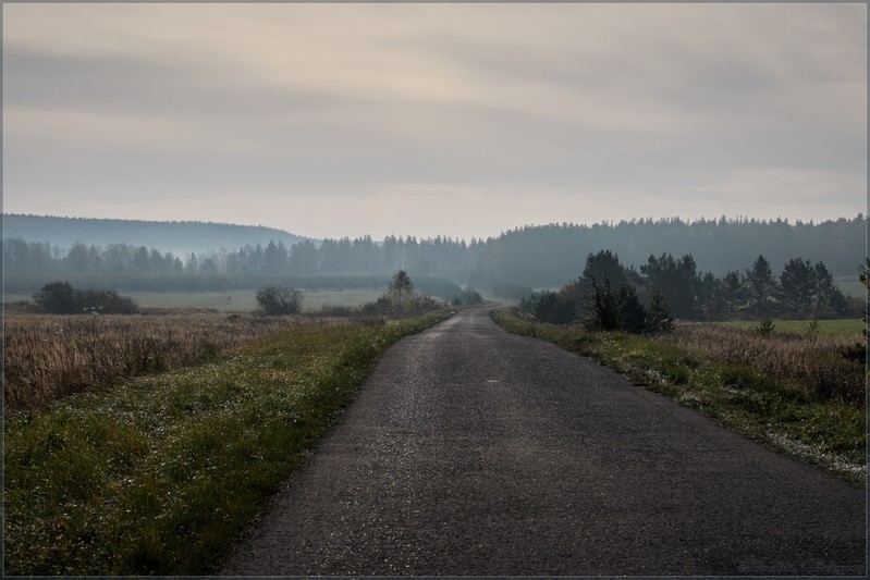 Фото сделанное пользователем rus-lis