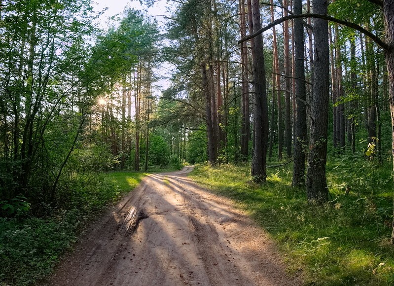 Фото сделанное пользователем rhbiyfbn