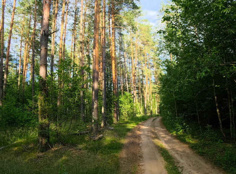 Фото сделанное пользователем rhbiyfbn