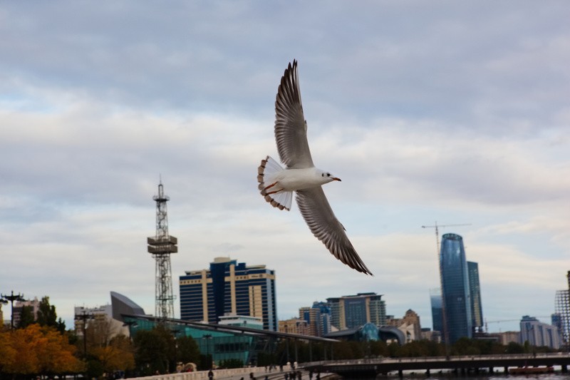 Фото сделанное пользователем Tim_G