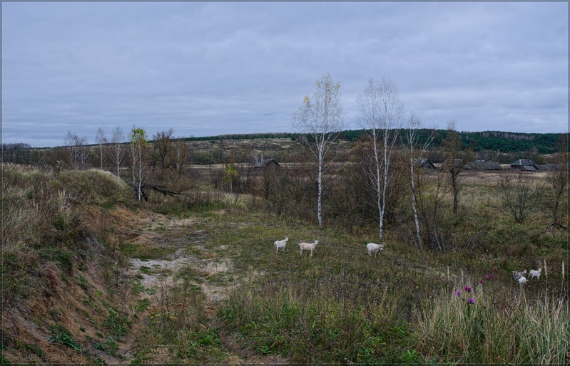 Фото сделанное пользователем rus-lis