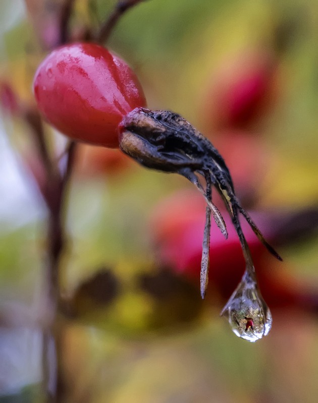 Фото сделанное пользователем derder