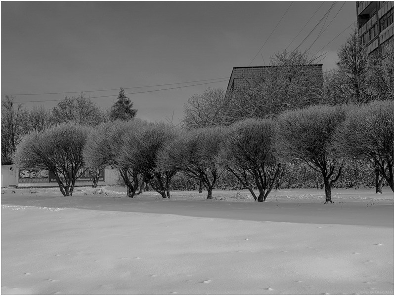 Фото сделанное пользователем igorcentr