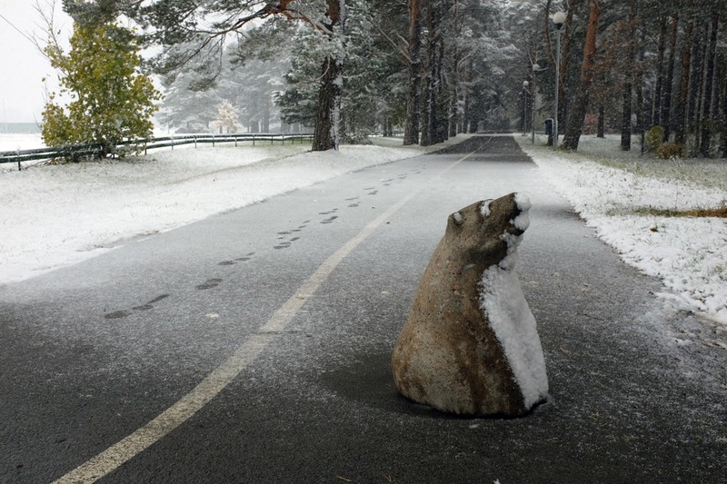 Фото сделанное пользователем Серёжа