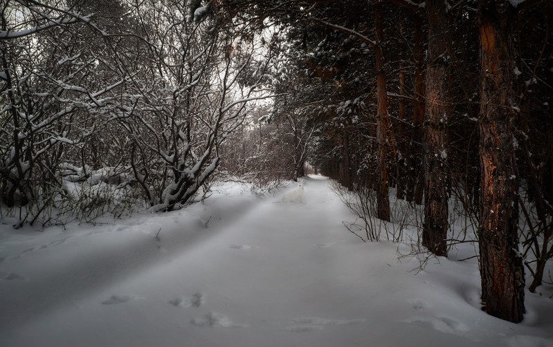 Фото сделанное пользователем Nikkc