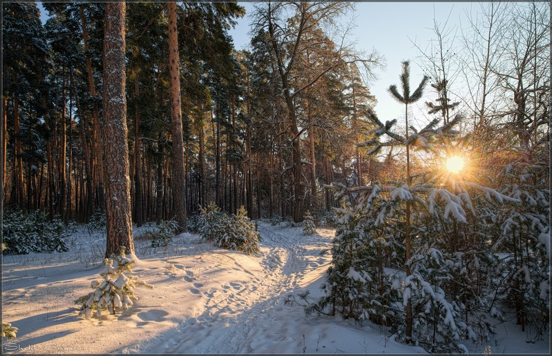 Фото сделанное пользователем rus-lis