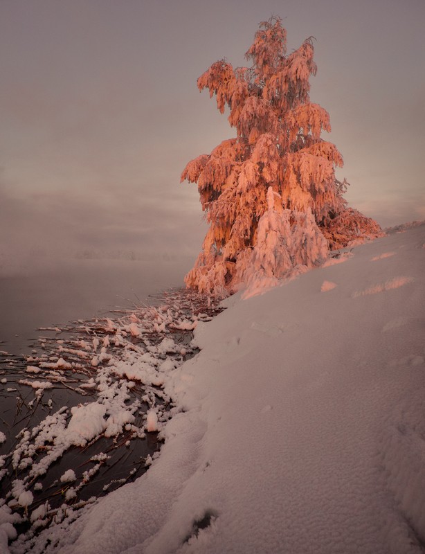 Фото сделанное пользователем Nikkc