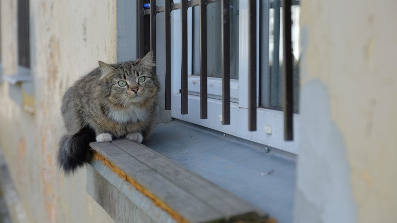 Фото сделанное пользователем Серёжа