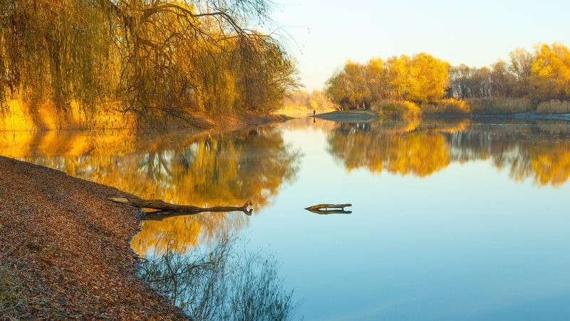 Фото сделанное пользователем Gen68