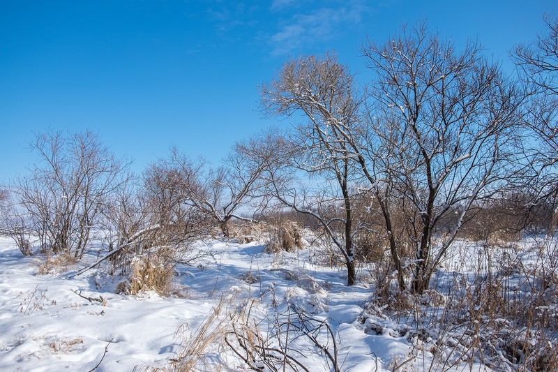 Фото сделанное пользователем swlad